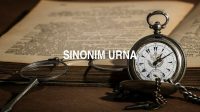 Sinonim Urna