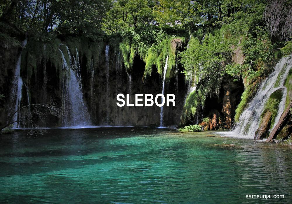 Arti Slebor