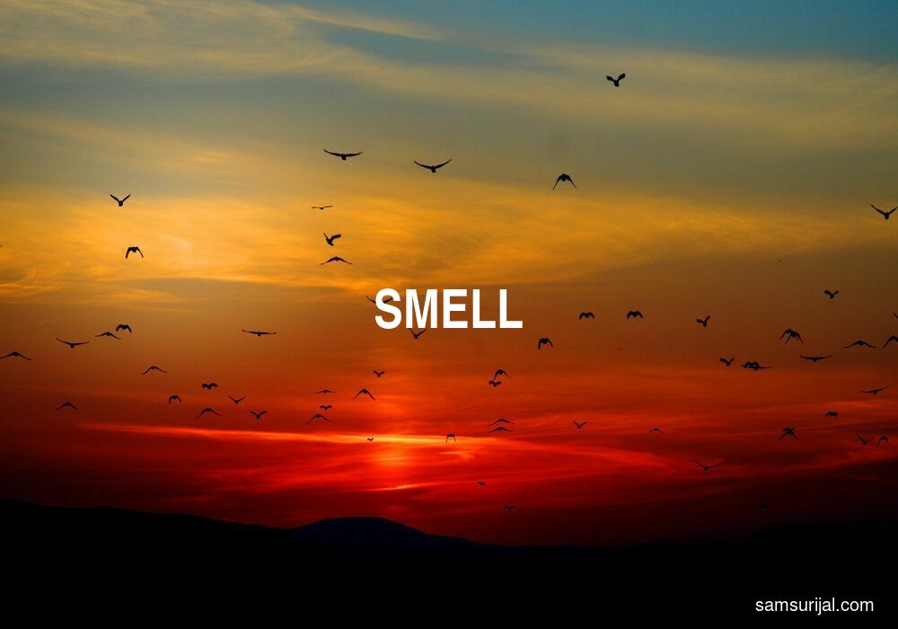 Arti Smell