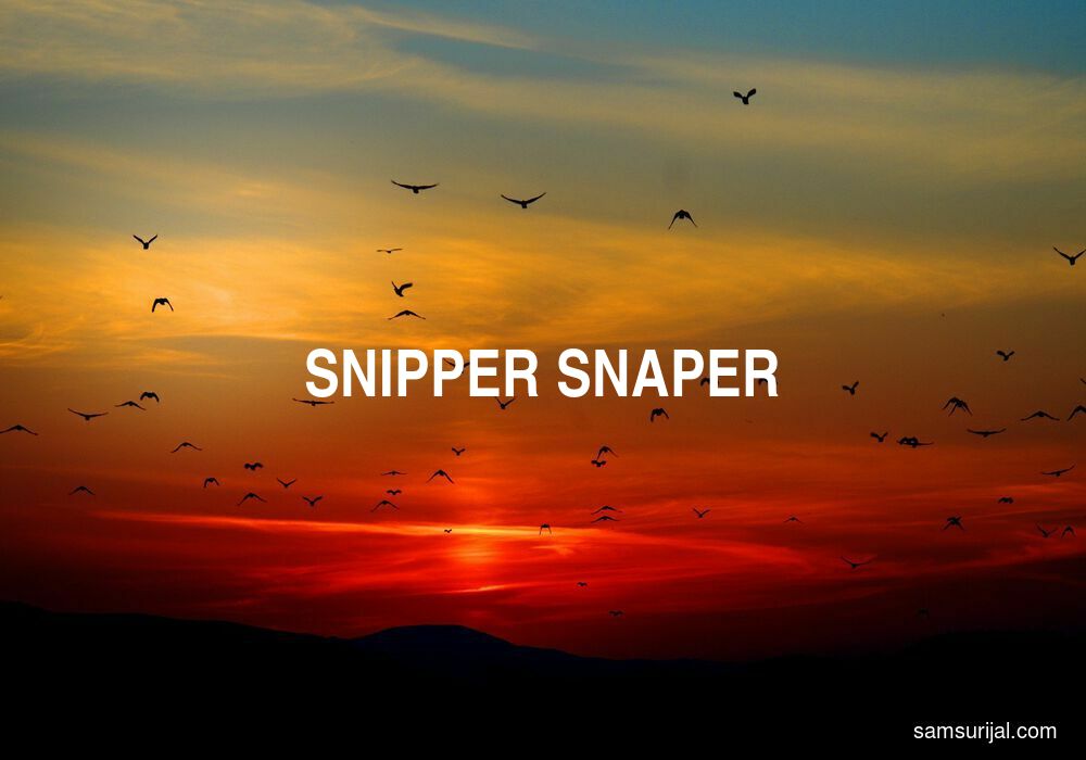 Arti Snipper Snaper