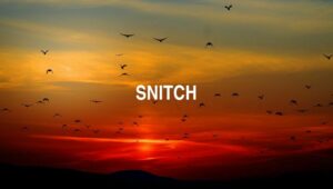 Arti Snitch