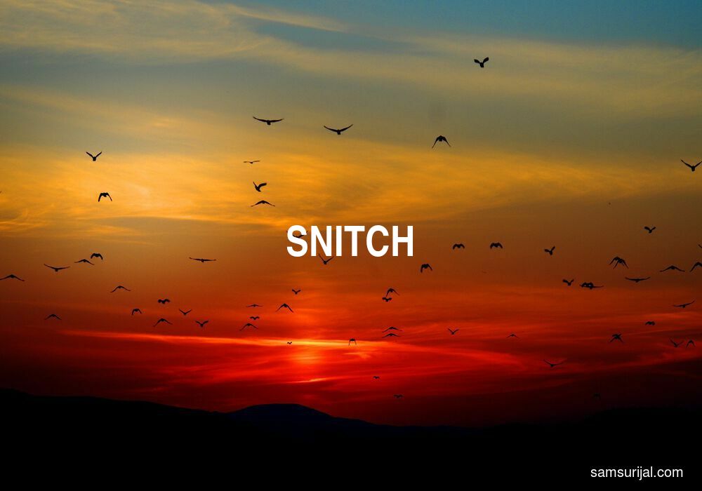 Arti Snitch