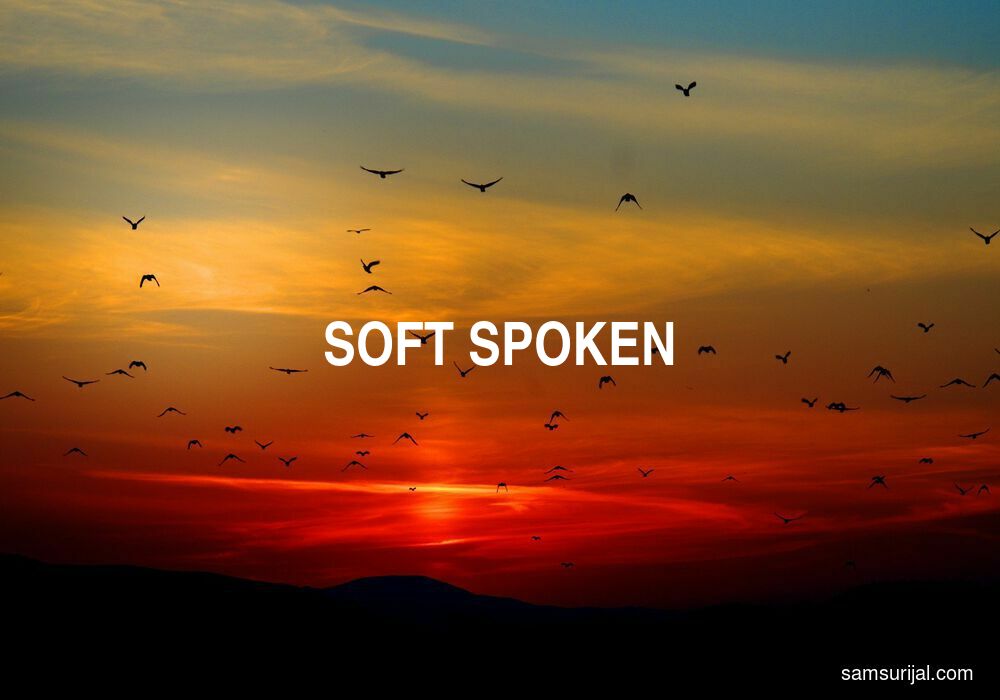 Arti Soft Spoken