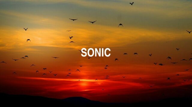 Arti Sonic