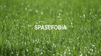Spasefobia