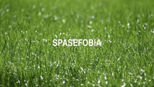 Arti Spasefobia