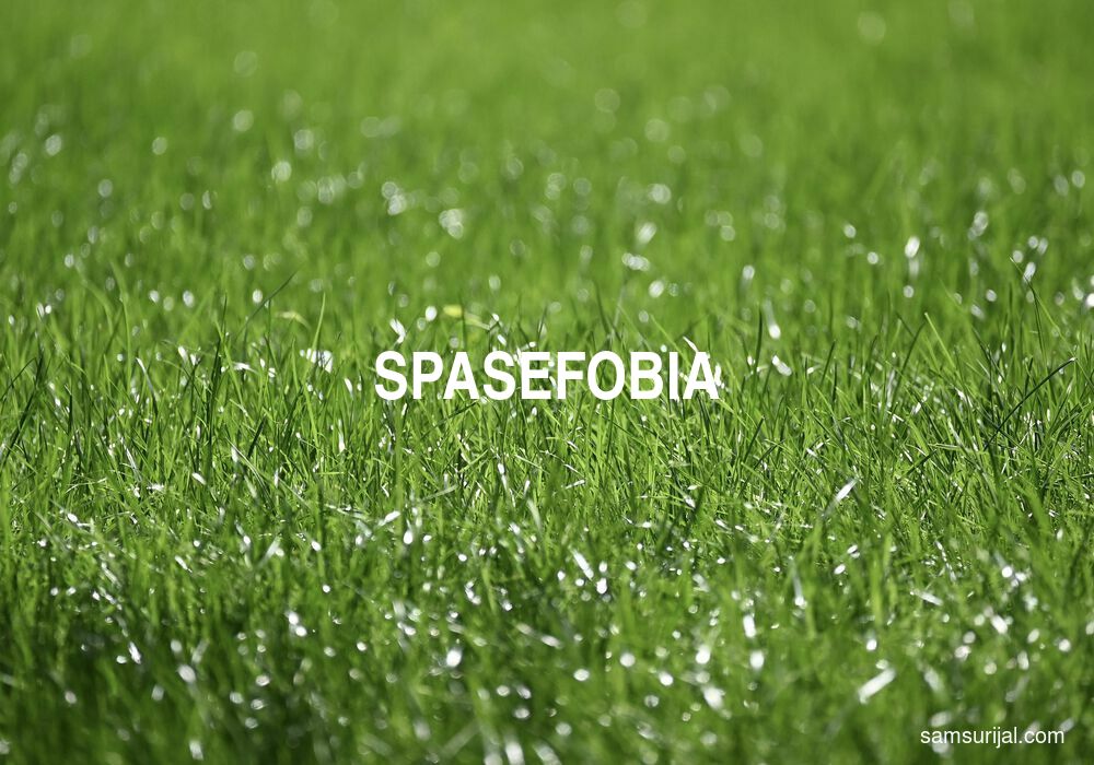 Arti Spasefobia
