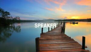 Arti Speaker