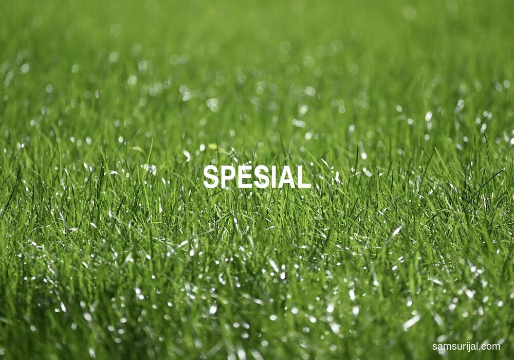 Arti Spesial
