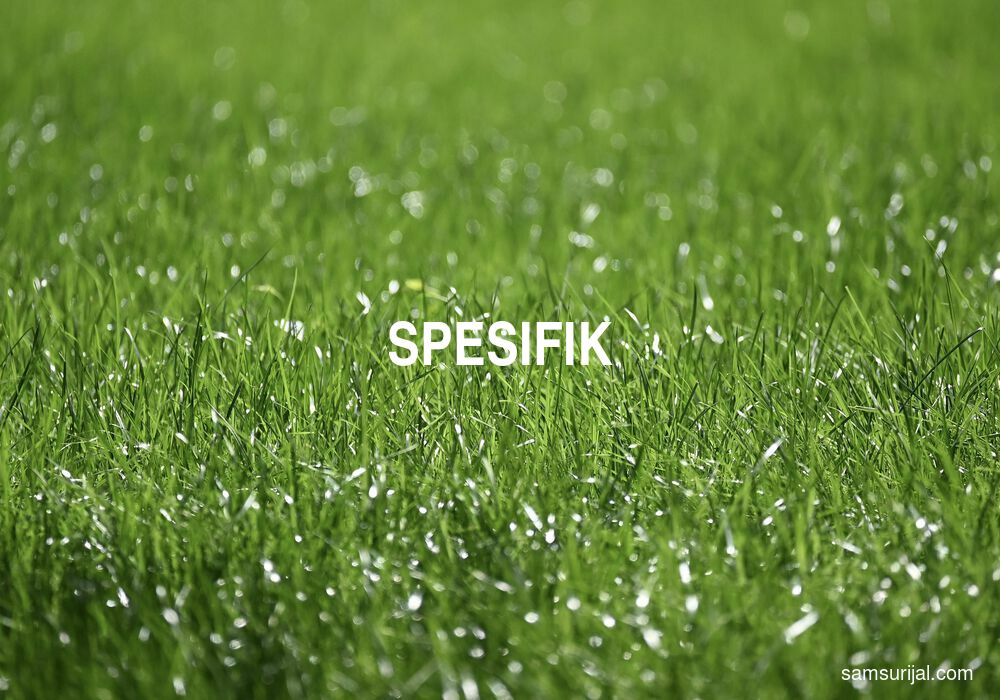 Arti Spesifik