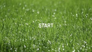Start
