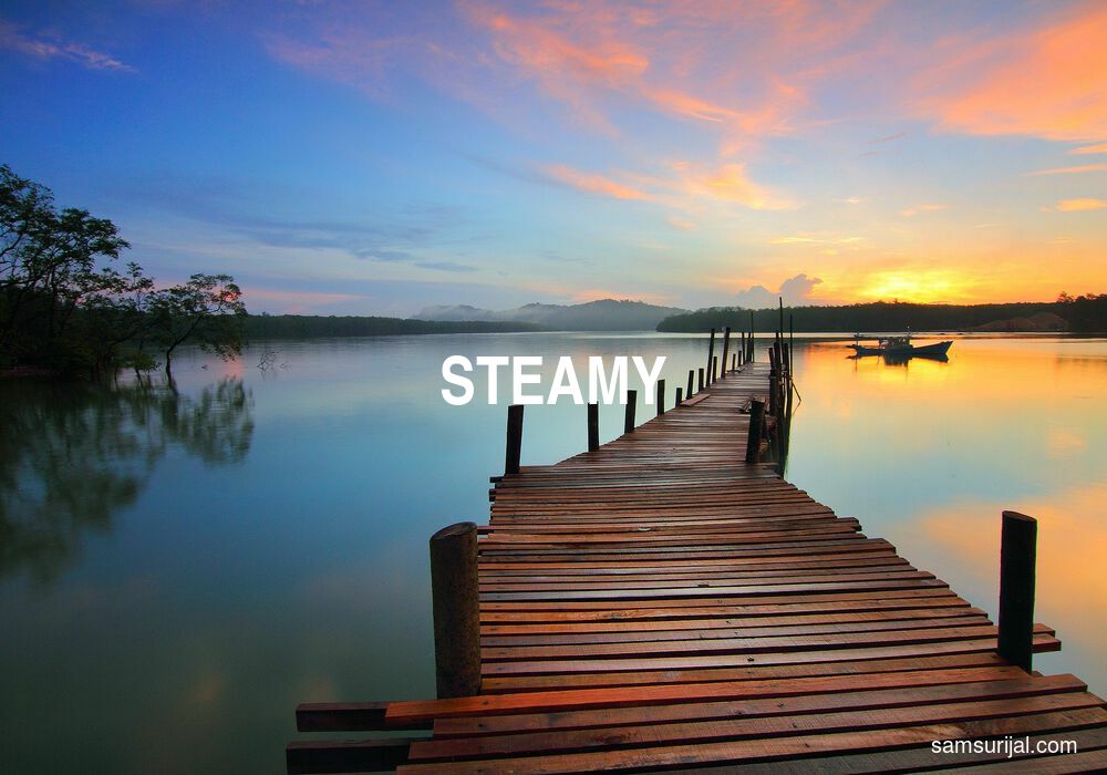Arti Steamy