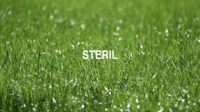 Steril