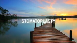 Arti Stomatoplasty