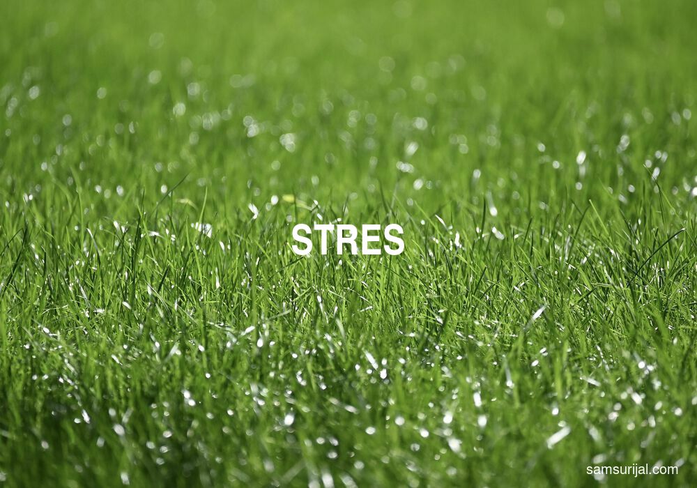 Arti Stres