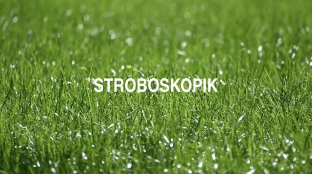 Arti Stroboskopik