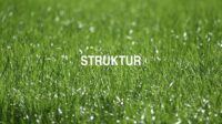 Struktur