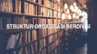 Struktur Organisasi Berdivisi