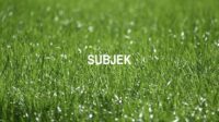 Subjek