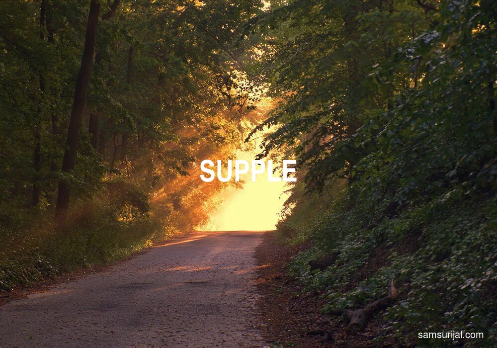 Arti Supple