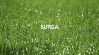 Surga