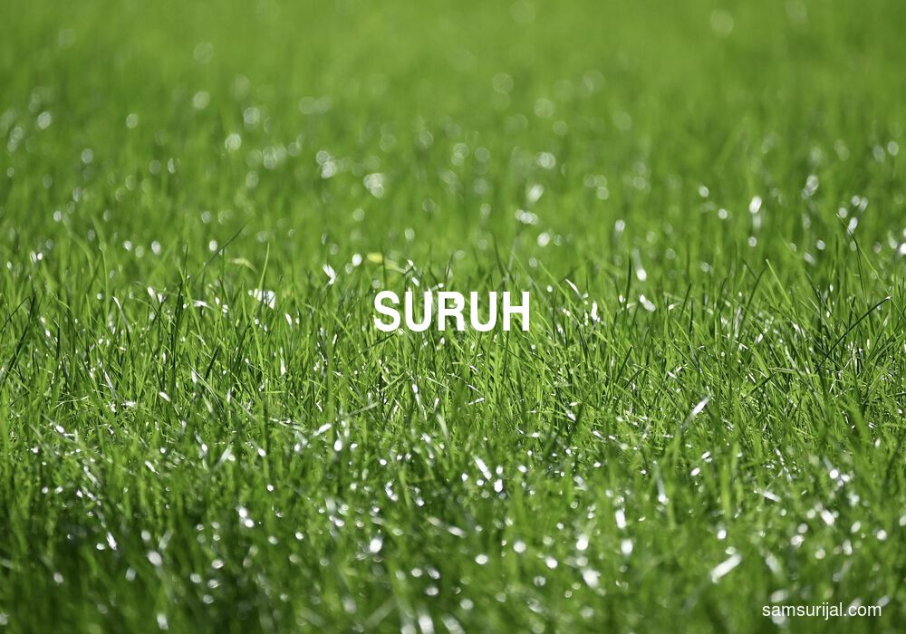 Arti Suruh