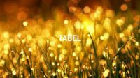 Tabel