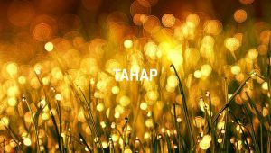 Arti Tahap