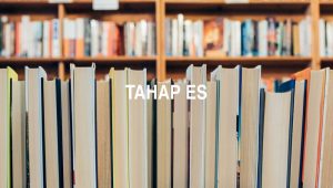 Tahap Es