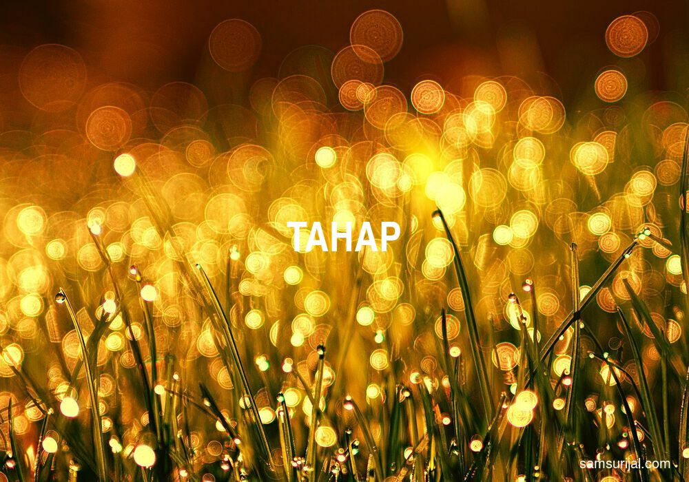 Arti Tahap
