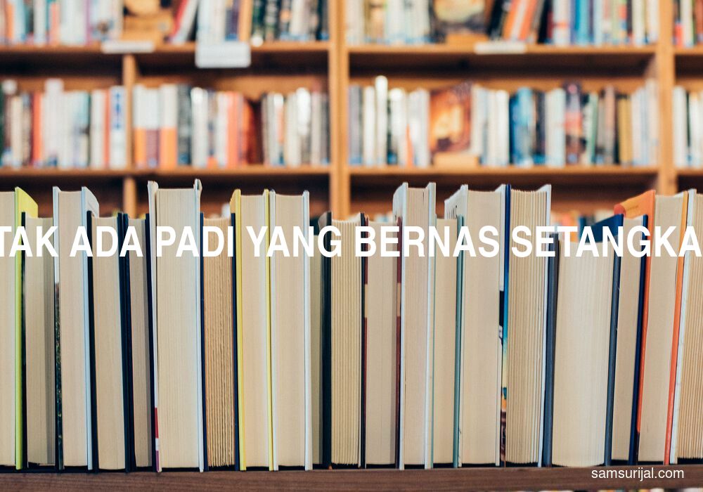 Arti Tak Ada Padi Yang Bernas Setangkai