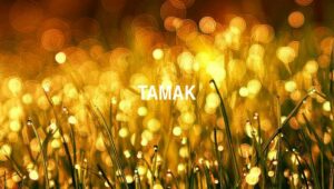 Tamak