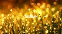 Tambah