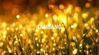 Tambang