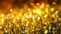 Tampar