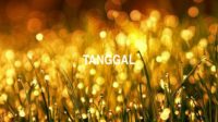 Tanggal