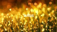 Tangis