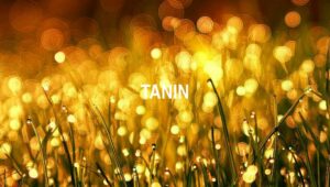 Arti Tanin