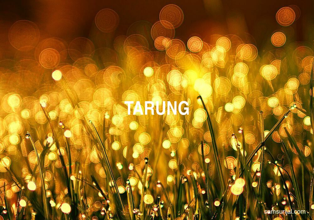 Arti Tarung