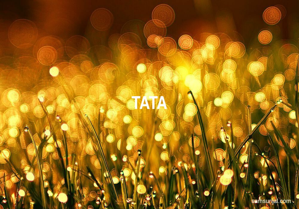 Arti Tata