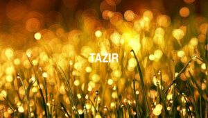 Arti Tazir