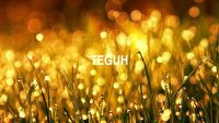 Teguh