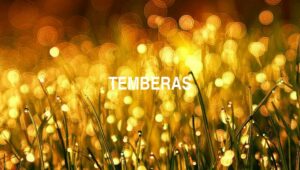Arti Temberas