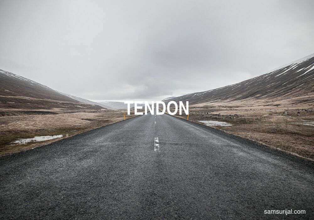 Arti Tendon