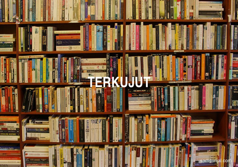 Arti Terkujut