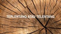 Terlentang atau Telentang