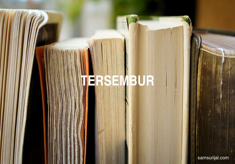 Arti Tersembur
