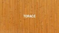 Torace