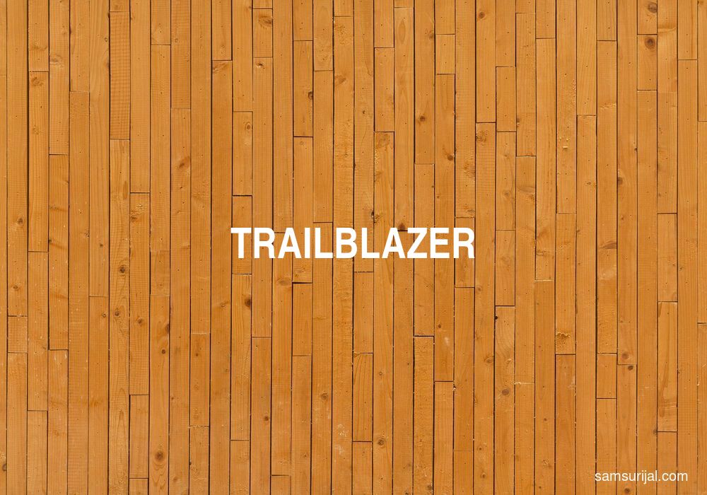 Arti Trailblazer