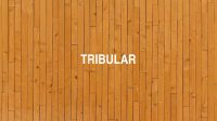 Tribular